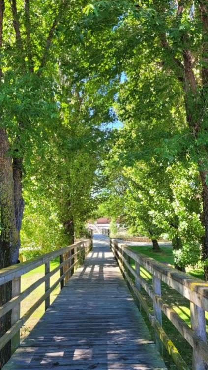 Name:  VerdeEsperanzaÁvila(1).jpg
Views: 34
Size:  86.3 KB