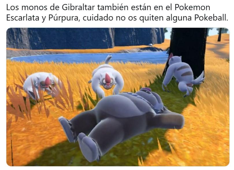 Name:  monosgibraltar.jpg
Views: 74
Size:  65.3 KB