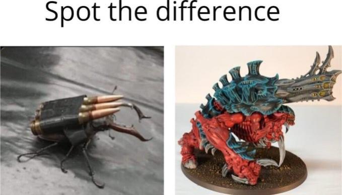 Name:  tdqh6kke.jpg
Views: 14
Size:  33.9 KB