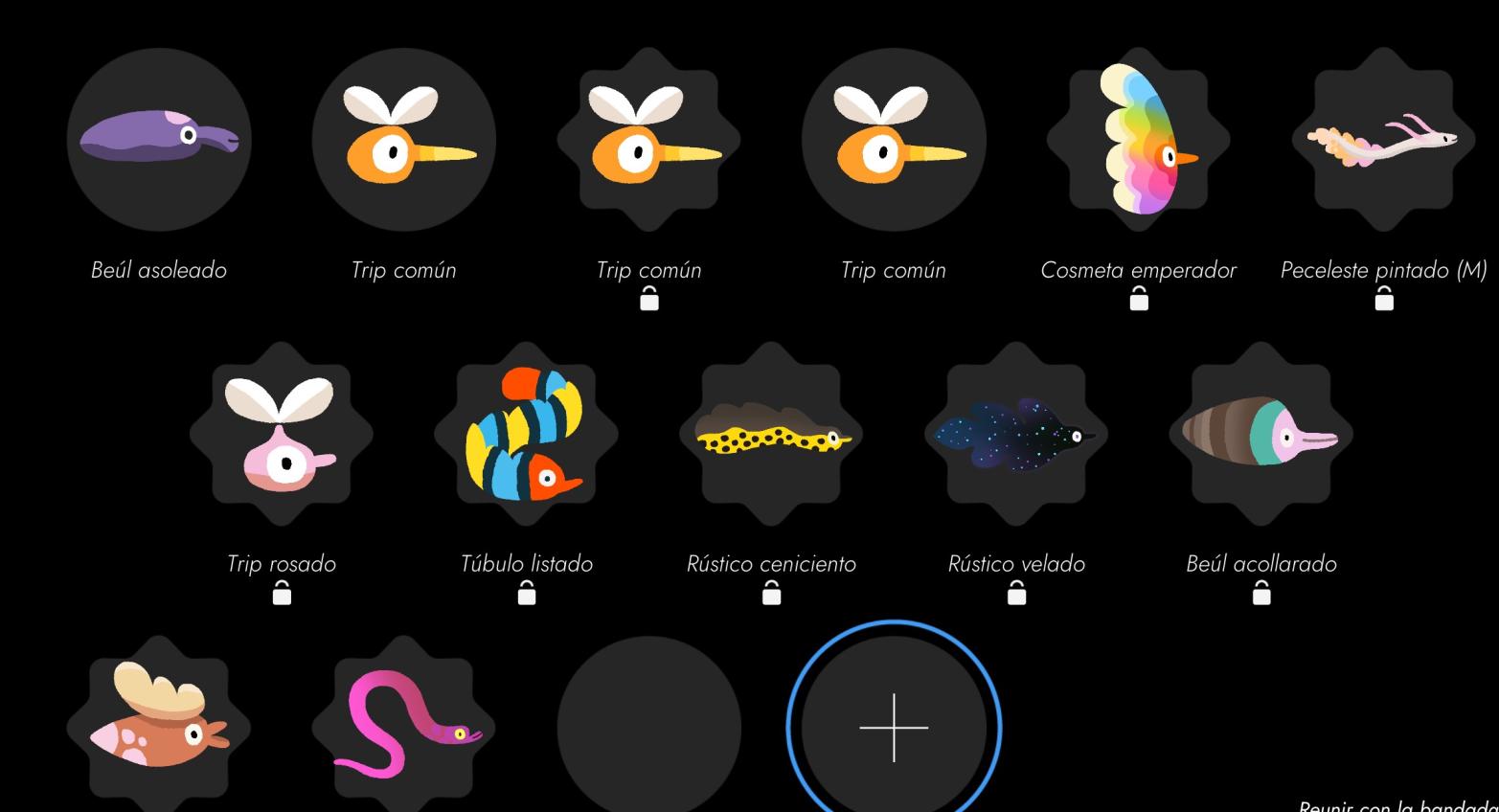 Name:  mibandada.jpg
Views: 39
Size:  79.9 KB