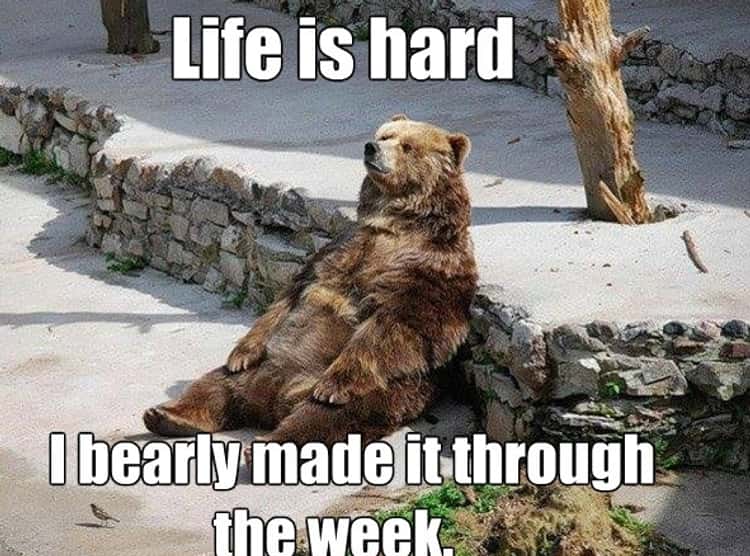 Name:  k-photo-u1(1).jpg
Views: 53
Size:  58.2 KB