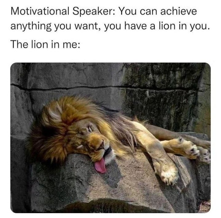 Name:  GT6P1L4XIAUEiDQ.jpeg
Views: 43
Size:  86.1 KB