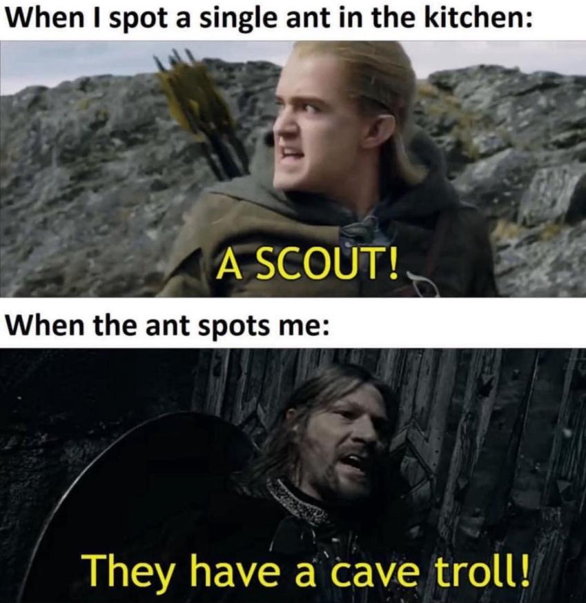 Name:  GTpAn8BXcAA-U2w.jpg
Views: 40
Size:  79.6 KB