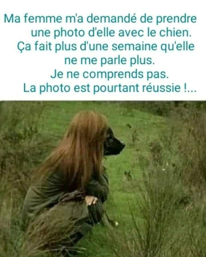 Name:  GUPVxSVWEAAUSGb.jpeg
Views: 21
Size:  70.4 KB