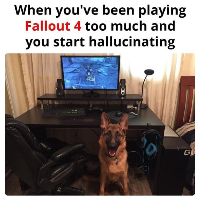 Name:  kpj3hd9f.jpg
Views: 27
Size:  57.2 KB