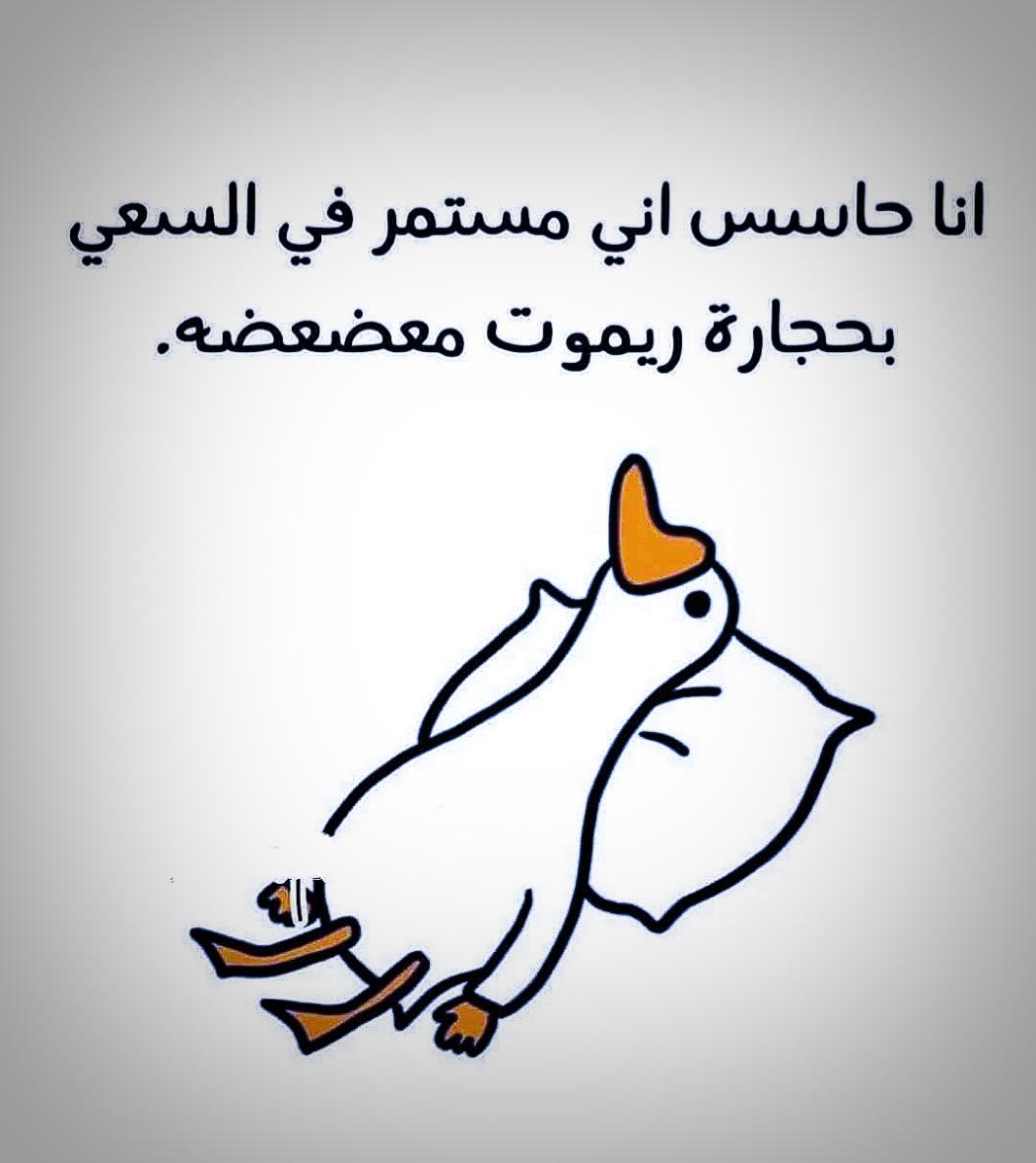 Name:  IMG_20240812_141140.jpg
Views: 158
Size:  76.2 KB