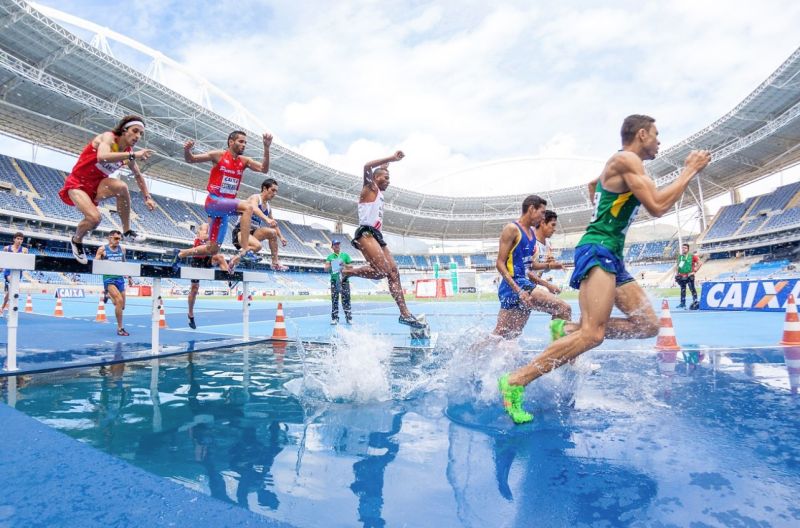 Name:  Screenshot2024-08-12155709.jpg
Views: 62
Size:  92.1 KB