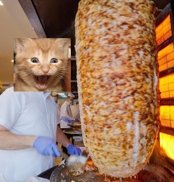 Name:  shawarma.jpg
Views: 110
Size:  43.6 KB