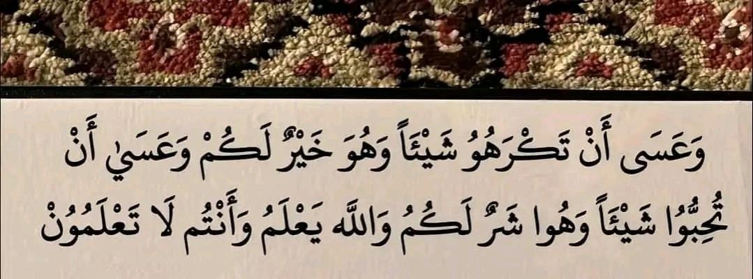 Name:  455493464_838419678424048_1093586797327702360_n.jpg
Views: 56
Size:  71.9 KB