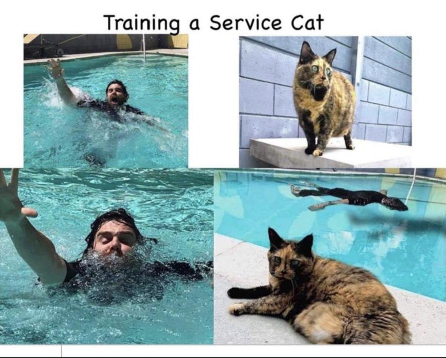 Name:  GVMZul3bkAEBWZe.jpg
Views: 38
Size:  92.5 KB