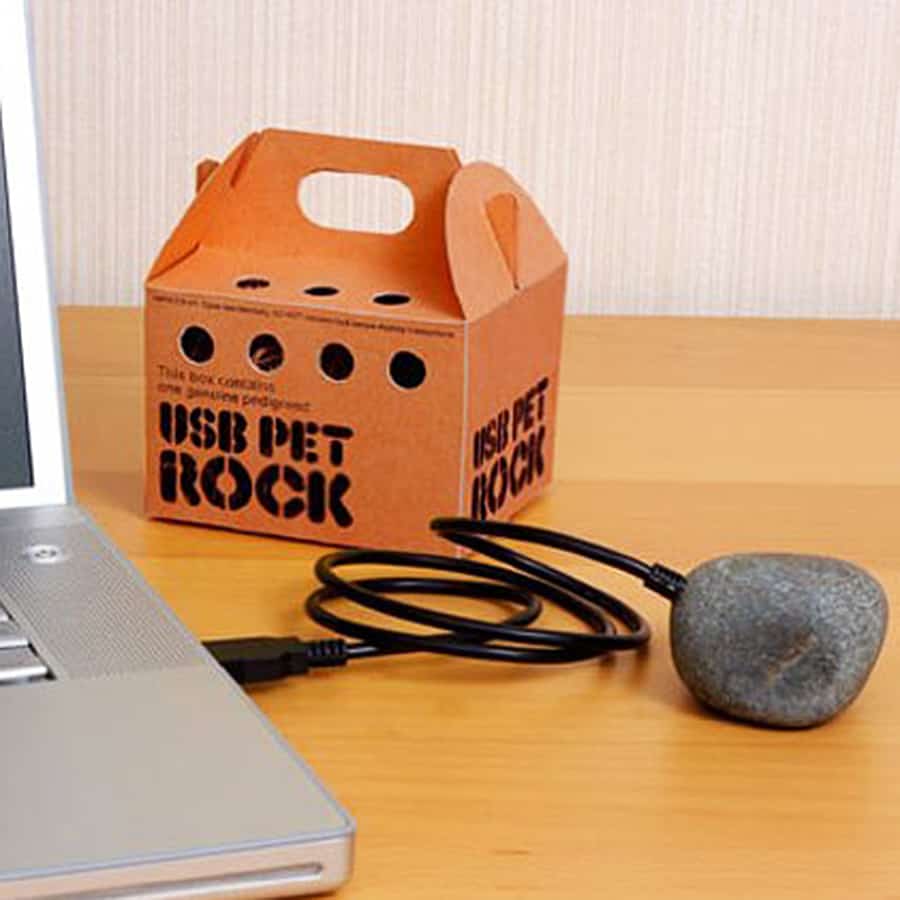 Name:  ThinkGeek-USB-Pet-Rock-Plug-and-Play21_58_33_.jpg
Views: 99
Size:  38.6 KB