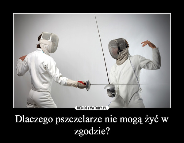 Name:  pszczelarze.jpg
Views: 123
Size:  43.8 KB