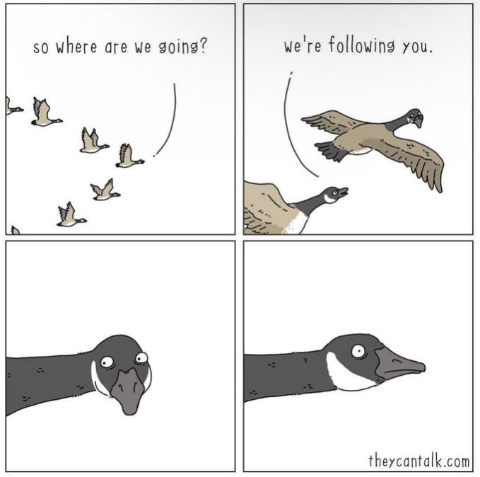 Name:  uie2r4zn.jpg
Views: 17
Size:  39.5 KB