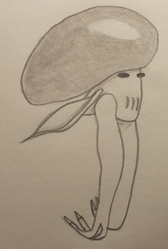 Name:  balon.jpg
Views: 365
Size:  41.2 KB