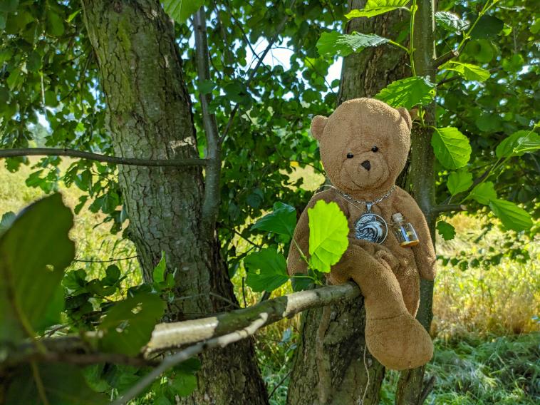 Name:  1723822721593min.jpg
Views: 1547
Size:  99.9 KB