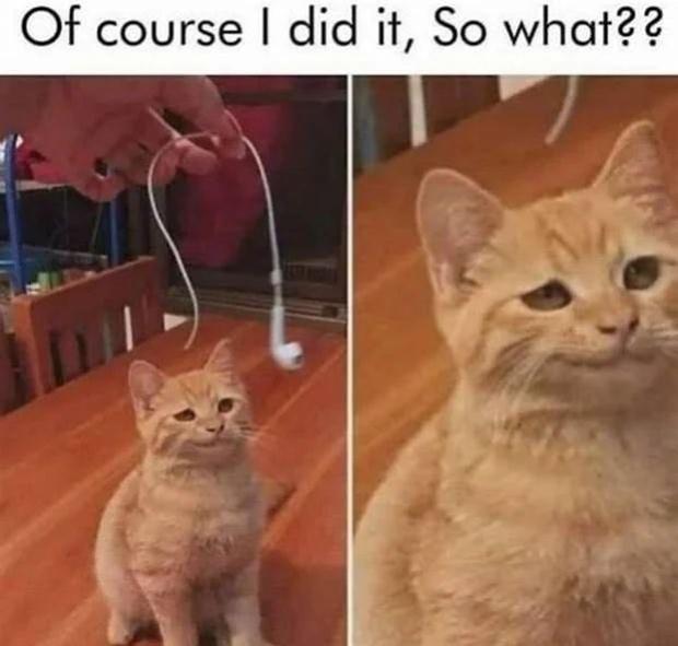 Name:  nhpil78e.jpg
Views: 28
Size:  35.5 KB