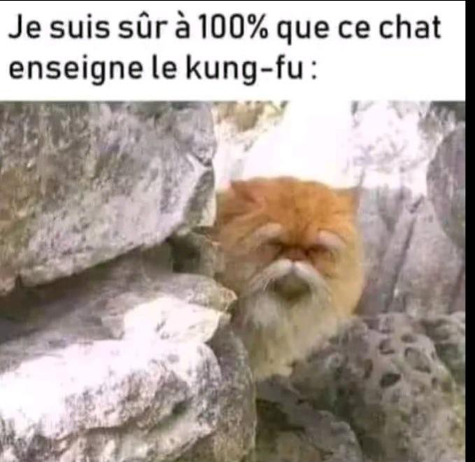 Name:  k8t2ysft.jpg
Views: 19
Size:  48.8 KB