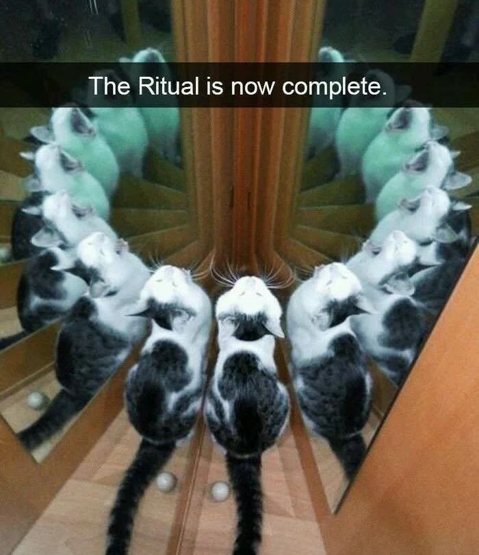 Name:  GWJPZ4GWEAAelVM.jpeg
Views: 34
Size:  76.9 KB