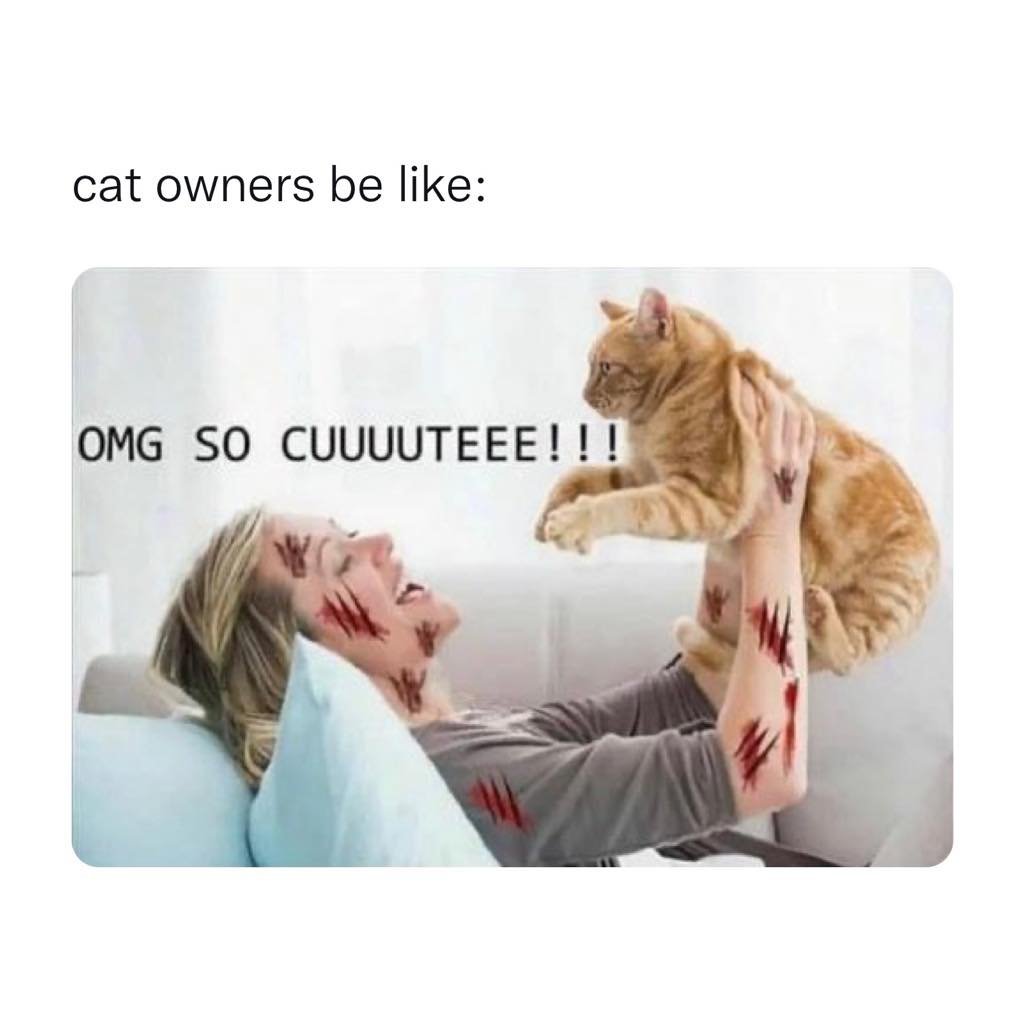 Name:  GWnDRf0XcAAgoyF.jpeg
Views: 33
Size:  55.5 KB