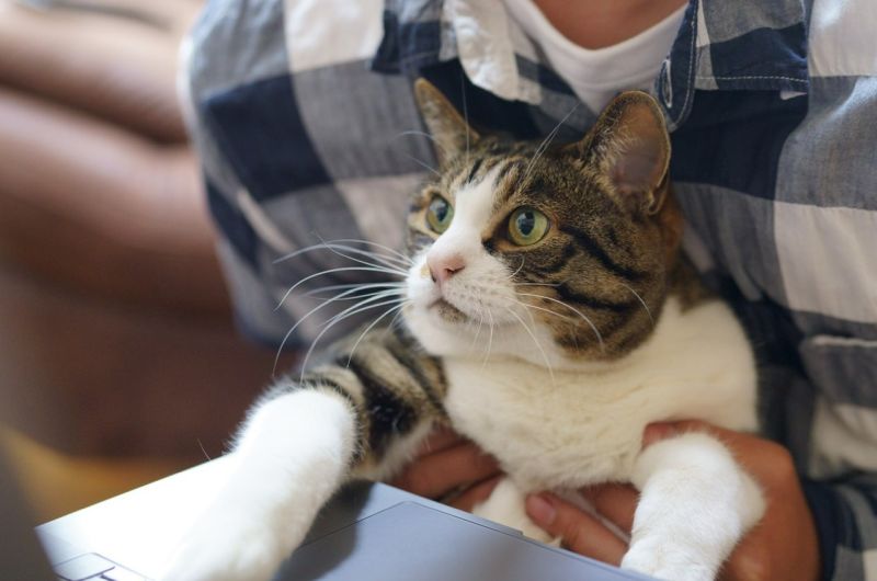 Name:  Screenshot2024-09-05160227.jpg
Views: 38
Size:  47.2 KB