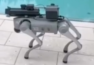 Name:  Screenshot2024-09-17160421.png
Views: 27
Size:  36.1 KB