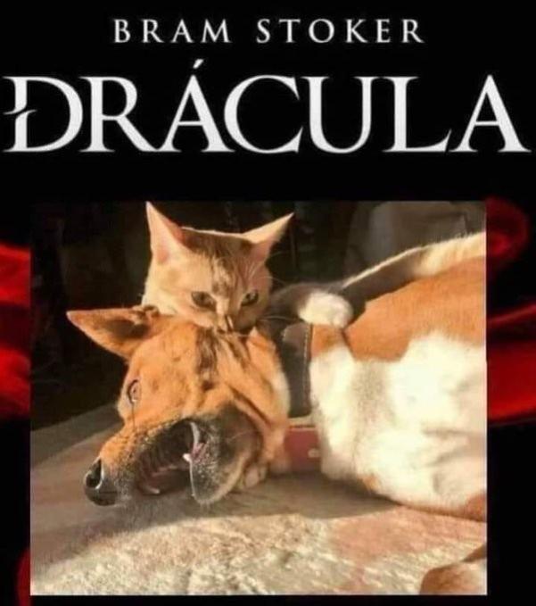 Name:  nzexnc7j.jpg
Views: 32
Size:  43.2 KB