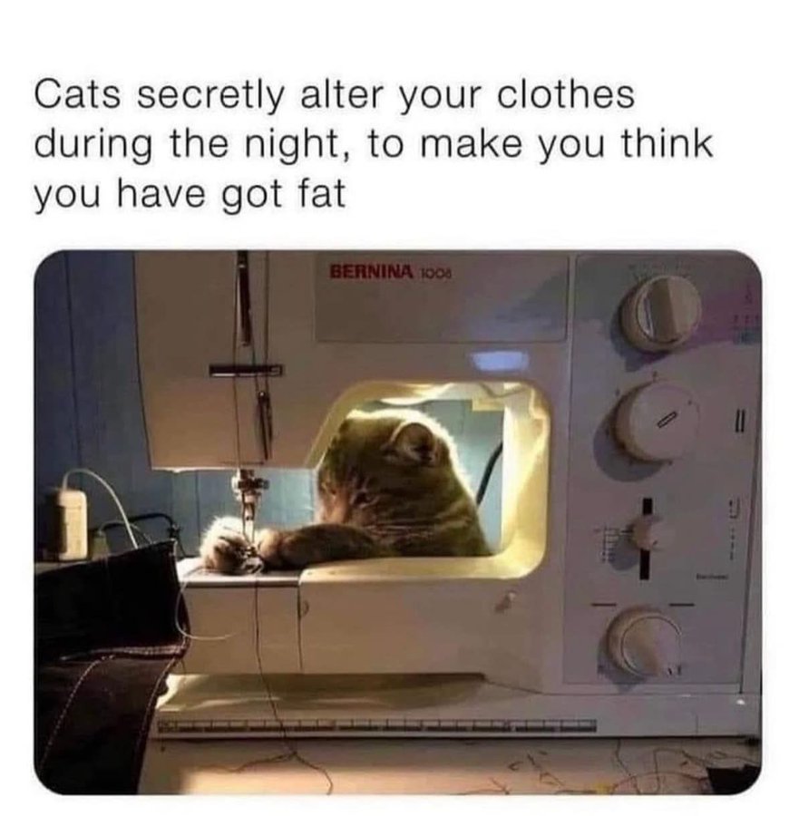 Name:  GYUuDjFXIAAu9Sd.jpeg
Views: 28
Size:  79.6 KB