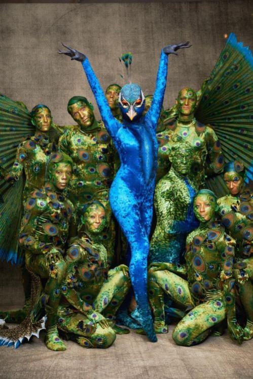 Name:  heidipaw.jpg
Views: 37
Size:  81.0 KB