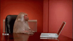 Name:  monkey-computer.gif
Views: 467
Size:  975.1 KB