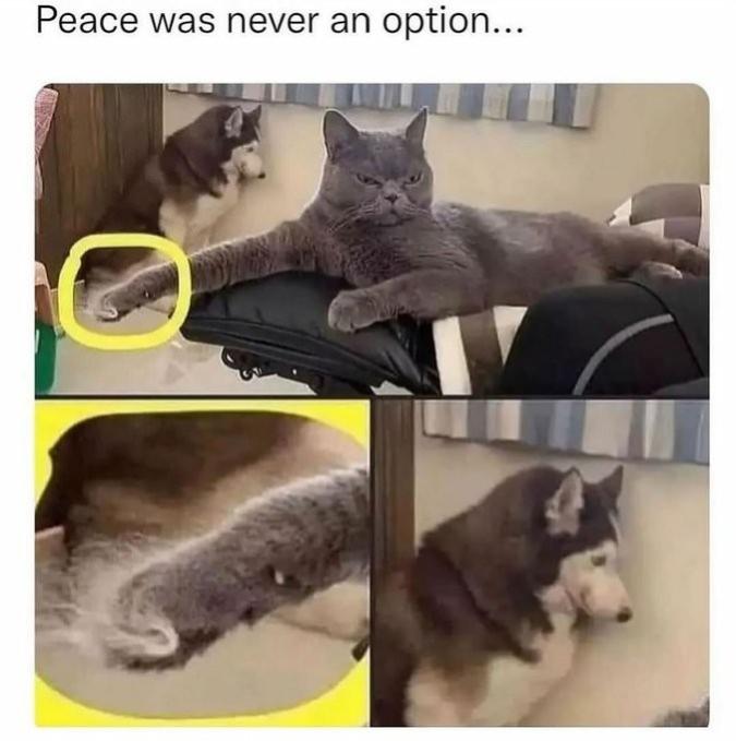 Name:  drzzj34u.jpg
Views: 27
Size:  45.4 KB