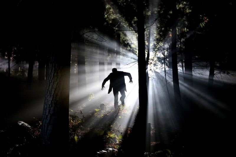 Name:  Screenshot2024-10-25113252.jpg
Views: 64
Size:  45.1 KB