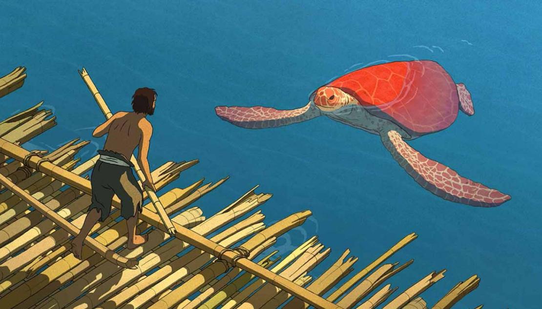 Name:  redturtle.jpg
Views: 36
Size:  97.2 KB