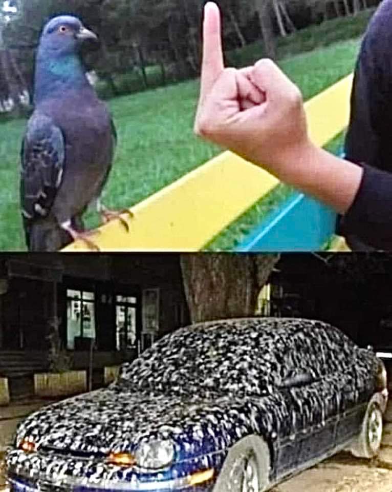 Name:  GbUO2XQXwAARl_b.jpeg
Views: 41
Size:  79.3 KB