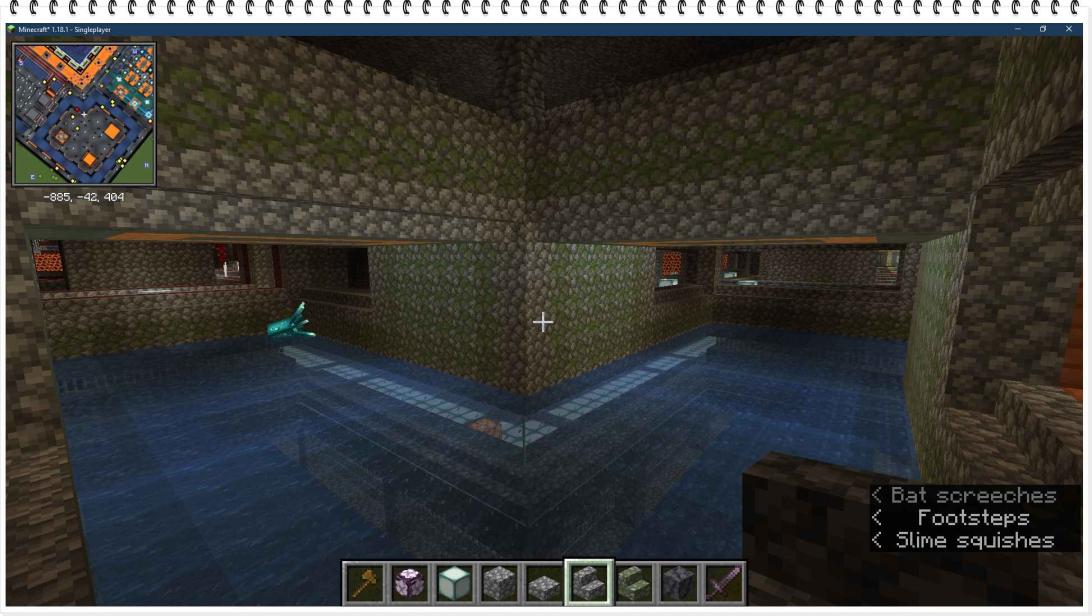 Name:  fossa2.jpg
Views: 57
Size:  98.7 KB