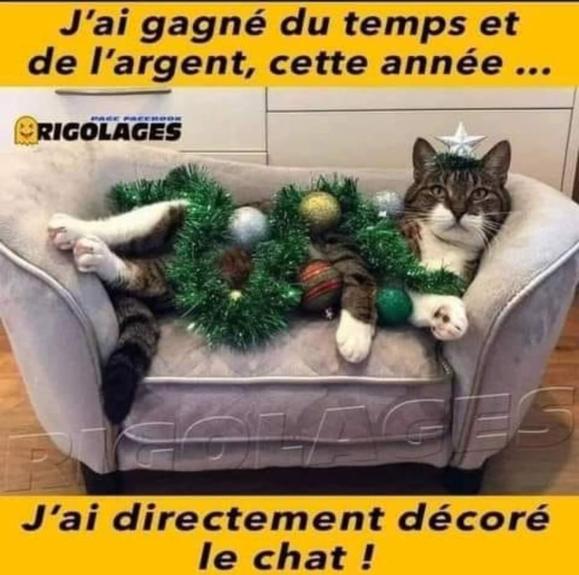 Name:  GccdBKUWkAEhFXi.jpg
Views: 24
Size:  81.6 KB