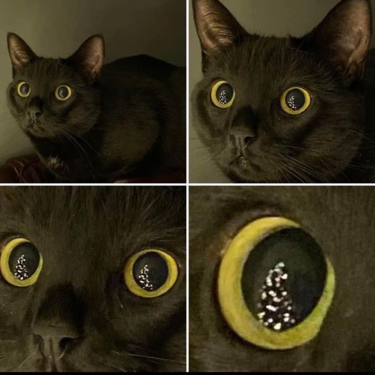 Name:  Gdf82ZrXMAA4SEm.jpeg
Views: 7
Size:  65.1 KB