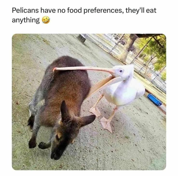 Name:  fa1pj93d.jpg
Views: 38
Size:  92.4 KB