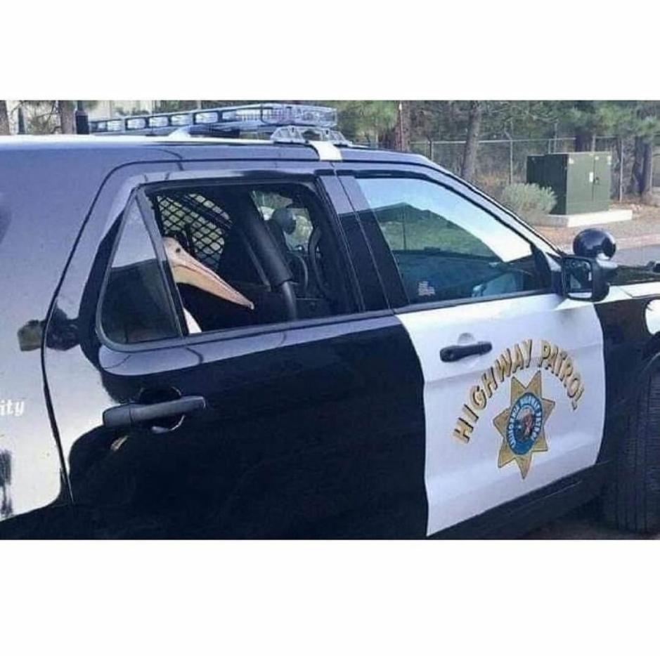 Name:  0ix1yevn.jpg
Views: 38
Size:  78.4 KB