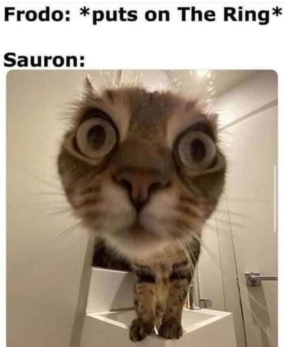 Name:  GdpFj16WQAAdcHq.jpg
Views: 35
Size:  74.9 KB