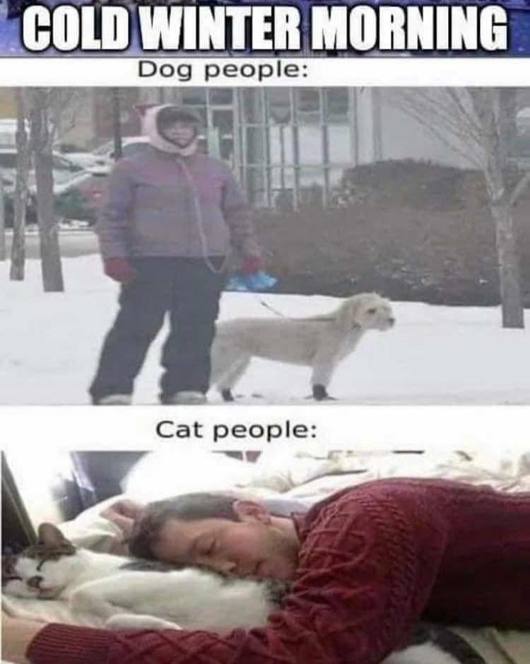 Name:  GeXWlz1bMAAPSRd.jpeg
Views: 18
Size:  64.2 KB