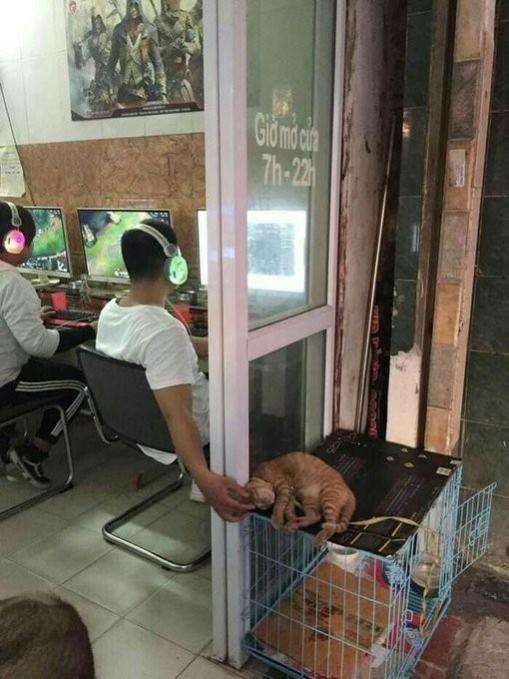 Name:  p4u3969e.jpg
Views: 45
Size:  54.4 KB