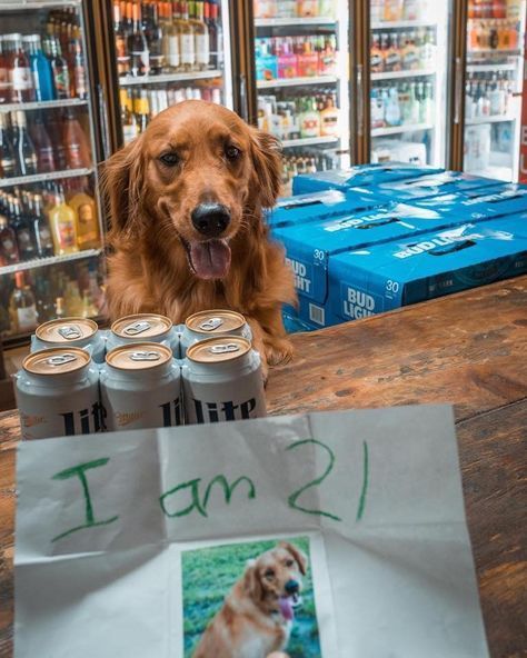 Name:  GfAQqvIWoAENmaZ.jpg
Views: 24
Size:  57.1 KB