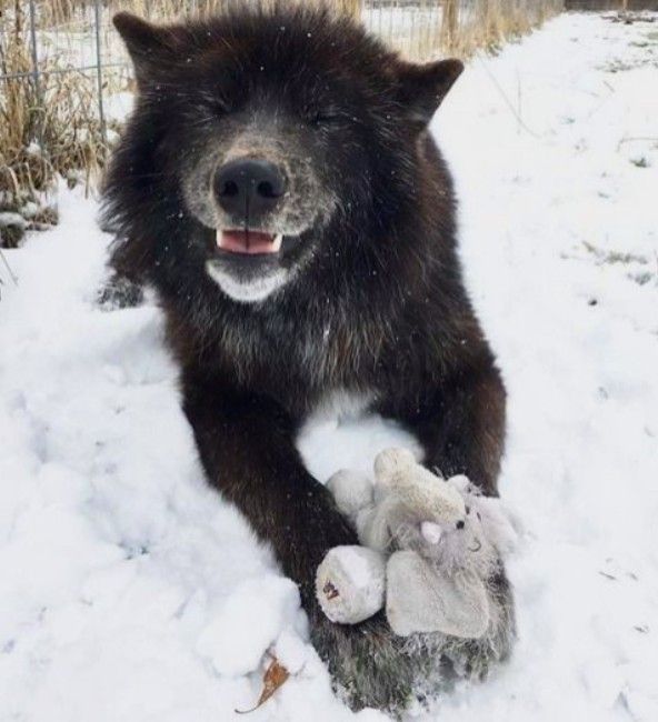 Name:  GfBSjUgW4AEL88v.jpg
Views: 24
Size:  50.3 KB