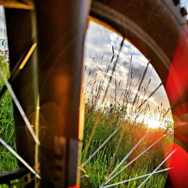 Name:  cGYVUS9lDew.jpg
Views: 132
Size:  91.5 KB