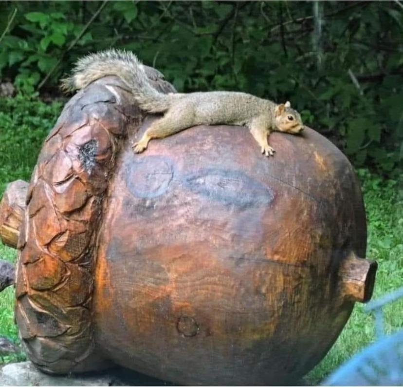 Name:  GfEadR9XcAASOce.jpg
Views: 19
Size:  85.9 KB