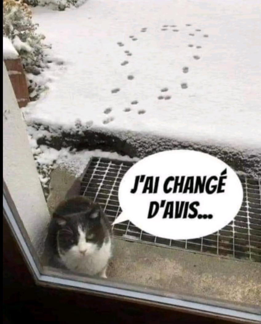 Name:  Ge2bpKgWEAAw3M-.jpg
Views: 19
Size:  79.5 KB