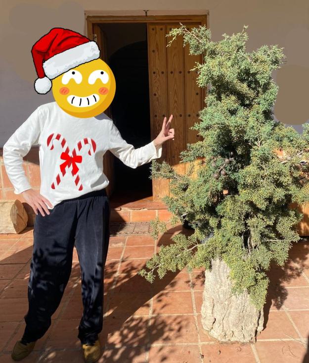 Name:  felicesfiestas.jpg
Views: 66
Size:  97.6 KB