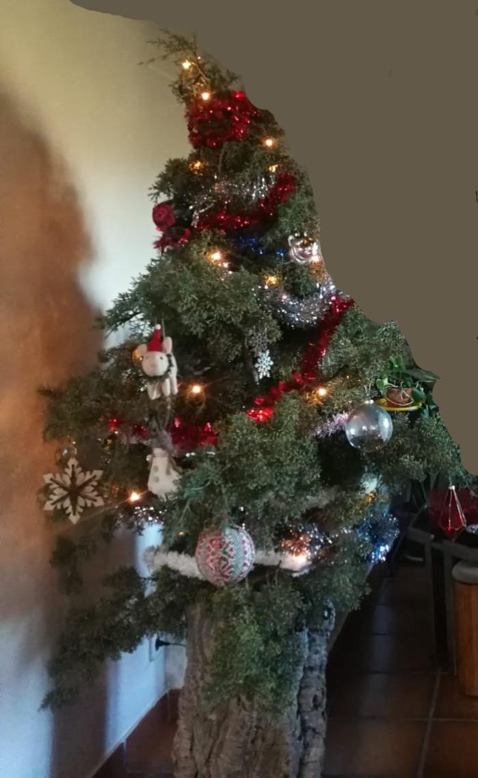 Name:  frankendecorado.jpg
Views: 65
Size:  79.7 KB