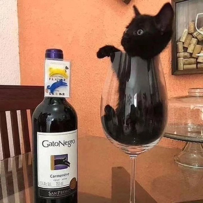 Name:  Gf6c_qXaQAAYa5h.jpg
Views: 42
Size:  81.2 KB