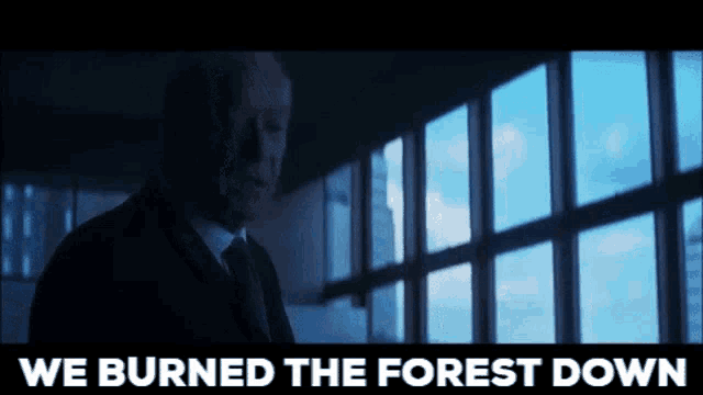Name:  we-burned-the-forest-down-burned.gif
Views: 53
Size:  831.2 KB